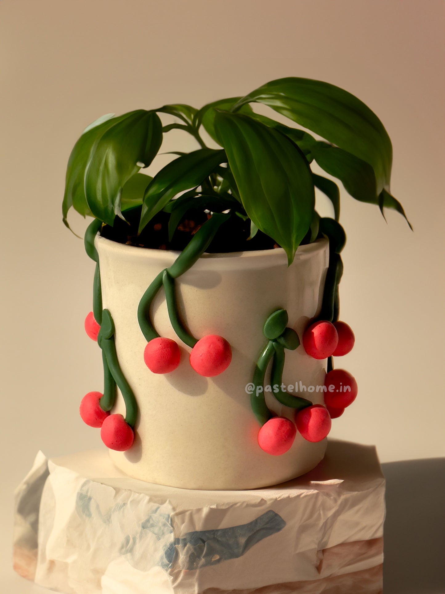 3D Cherry Ceramic Planter