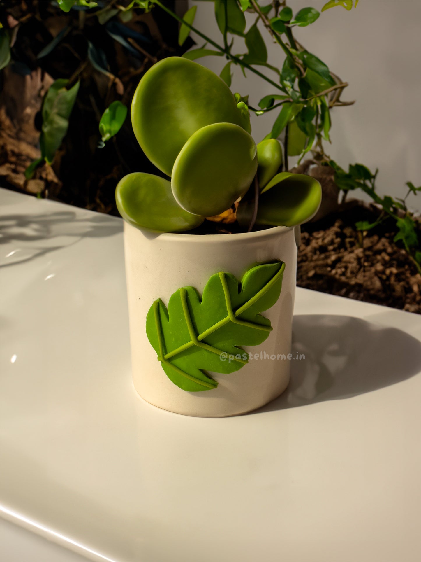 Monsterra Leaf Ceramic Planter