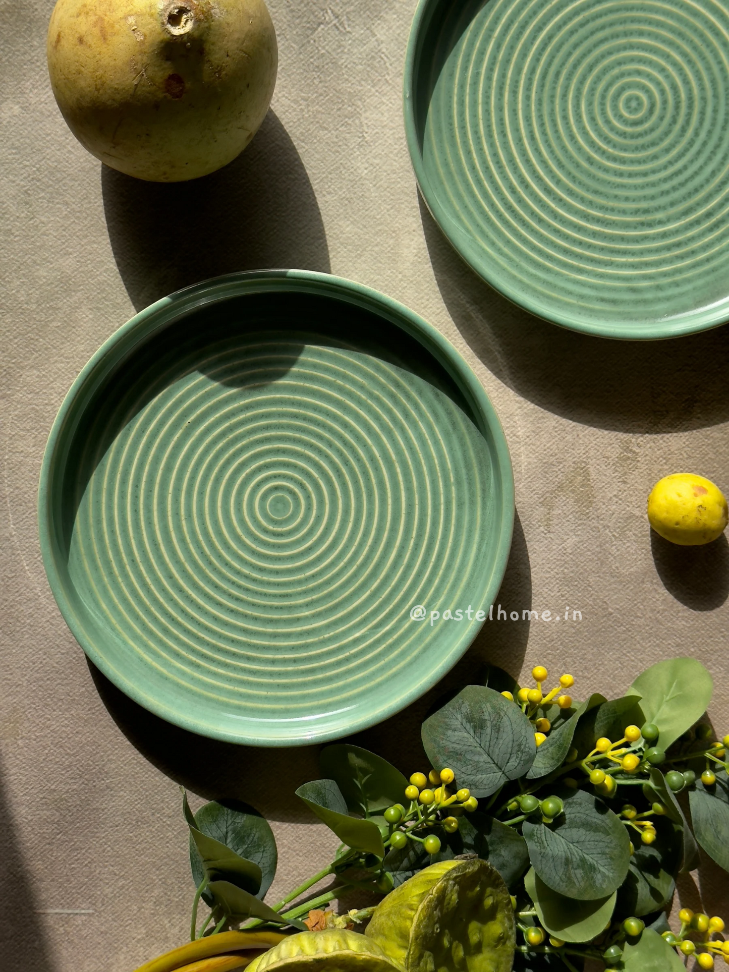 Green Ceramic Meal Plate